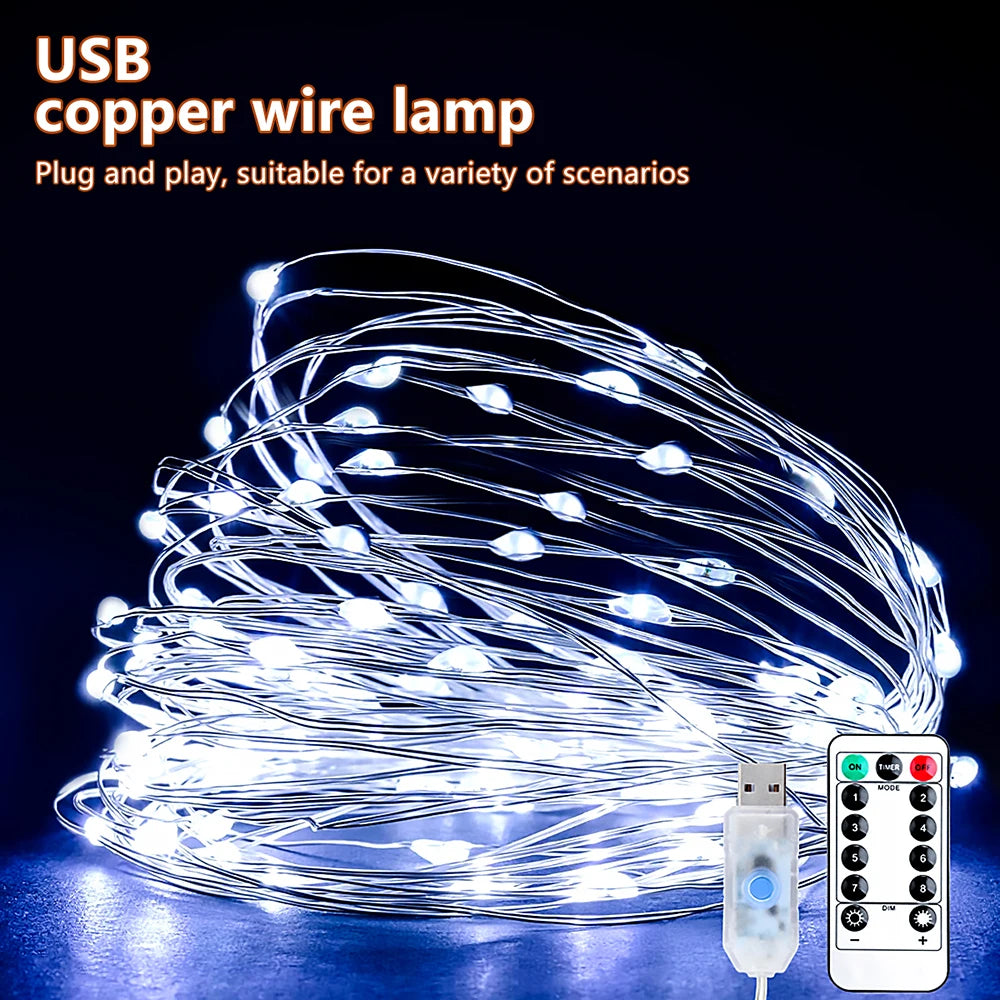 5M/10M/20M USB LED String Lights Copper Silver Wire Garland Light Waterproof Fairy Lights For Christmas Wedding Party Decorative--ANDROMEDA QUINNS | AURELLE'S-ANDROMEDA QUINNS | AURELLE'S
